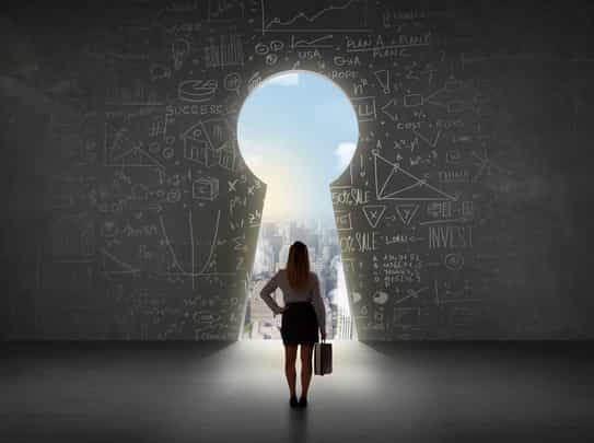Everything about the High Potential Leadership Program