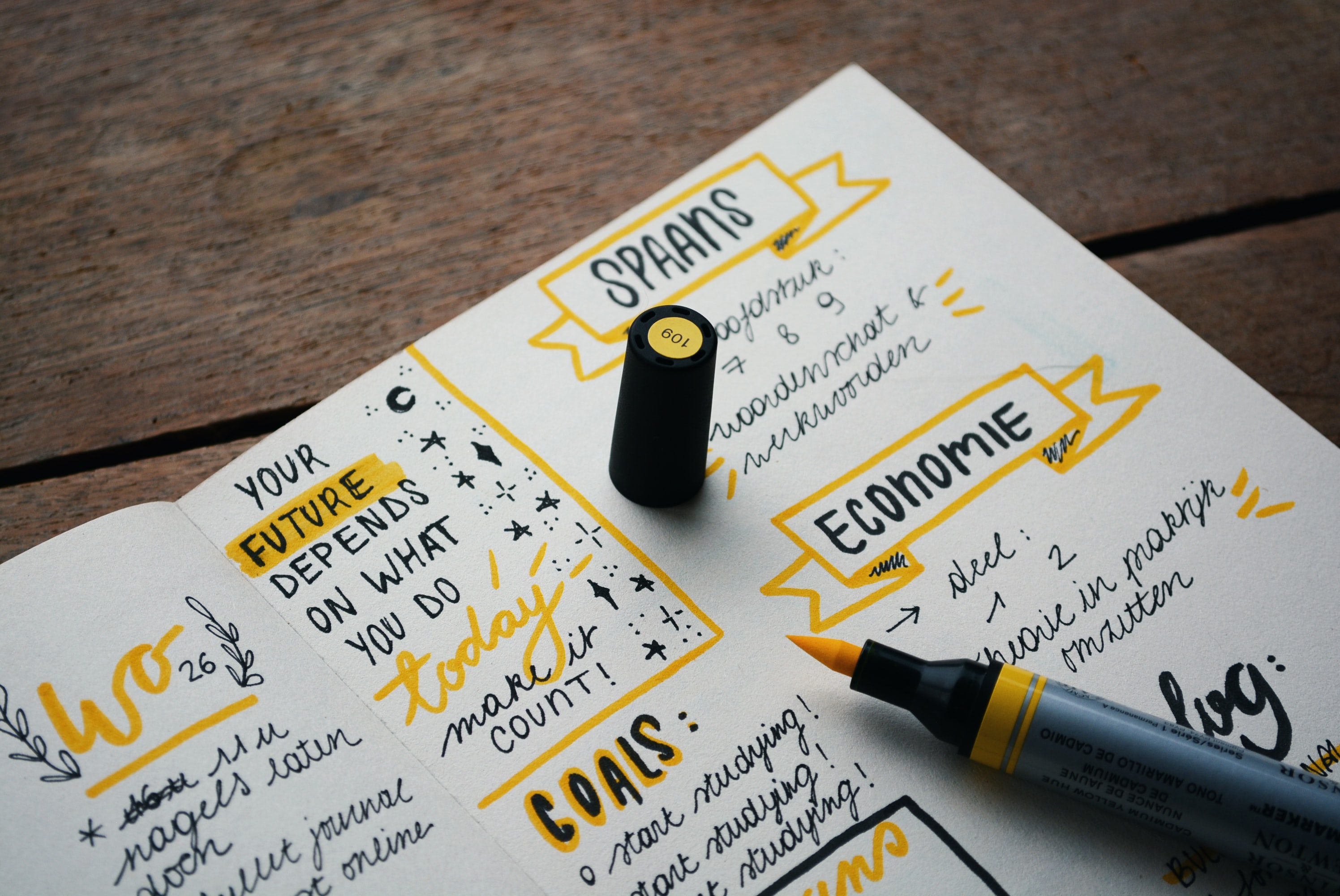 Long-Term Career Goals: 12 SMART Examples