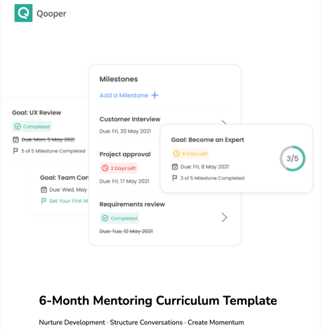 Download 6-Month Mentoring Curriculum Template