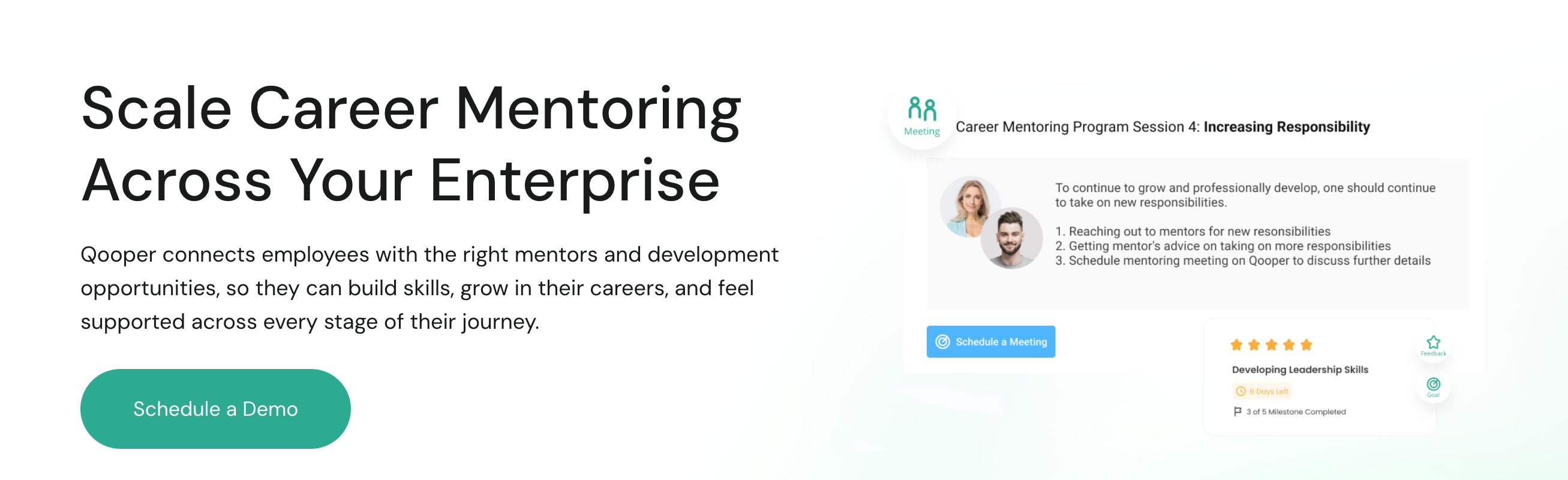 Career Mentoring