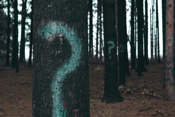 15 Strategic and Essential Questions To Ask Your Mentor